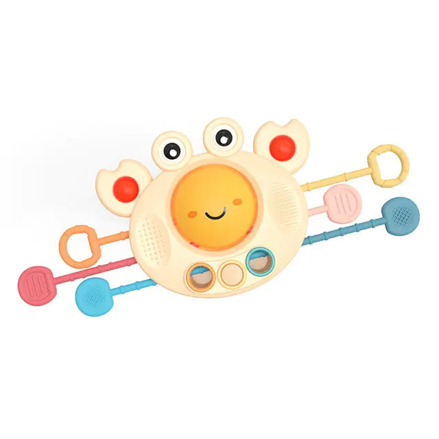 Montessori Baby Sensory Toys